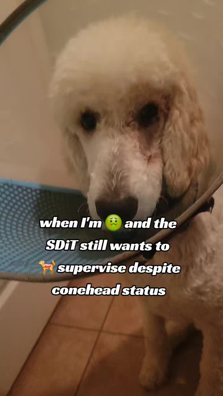 @TheJungleNook