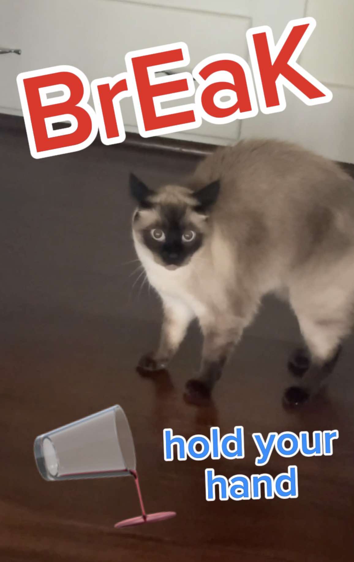 @Merv The Cat