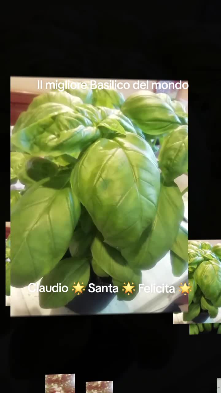 @Claudio Santa Felicita