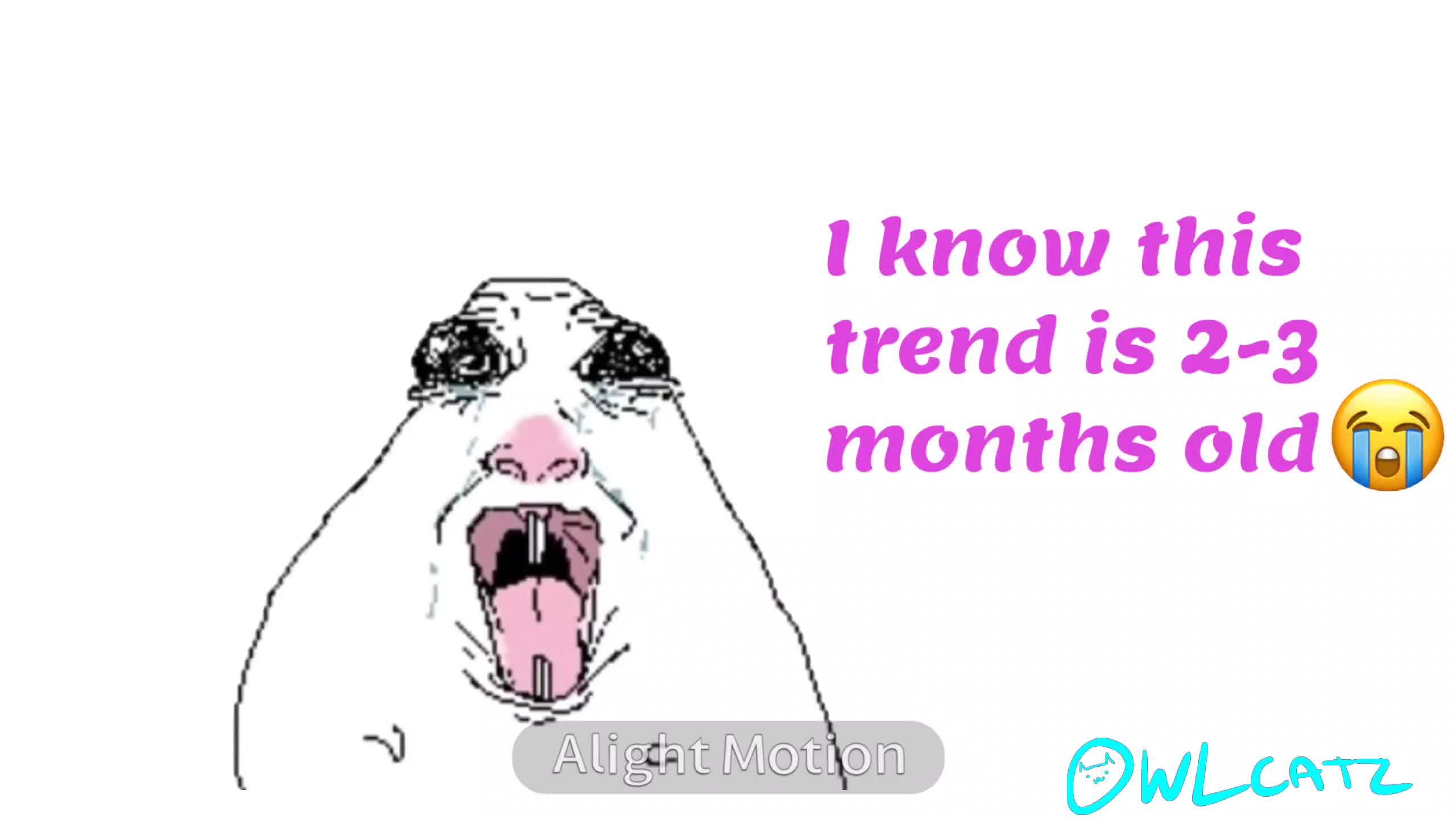 @OwlCatz