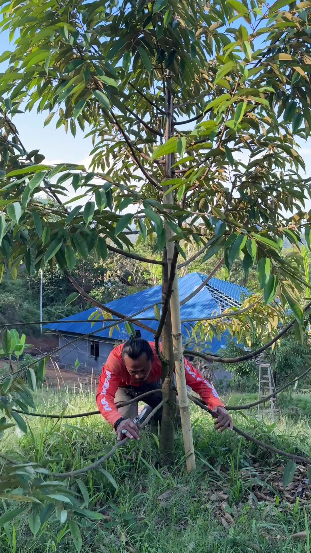 @AA KADU