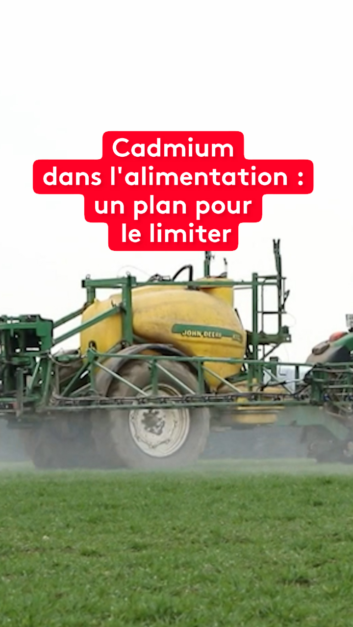 @le20hfrancetelevisions