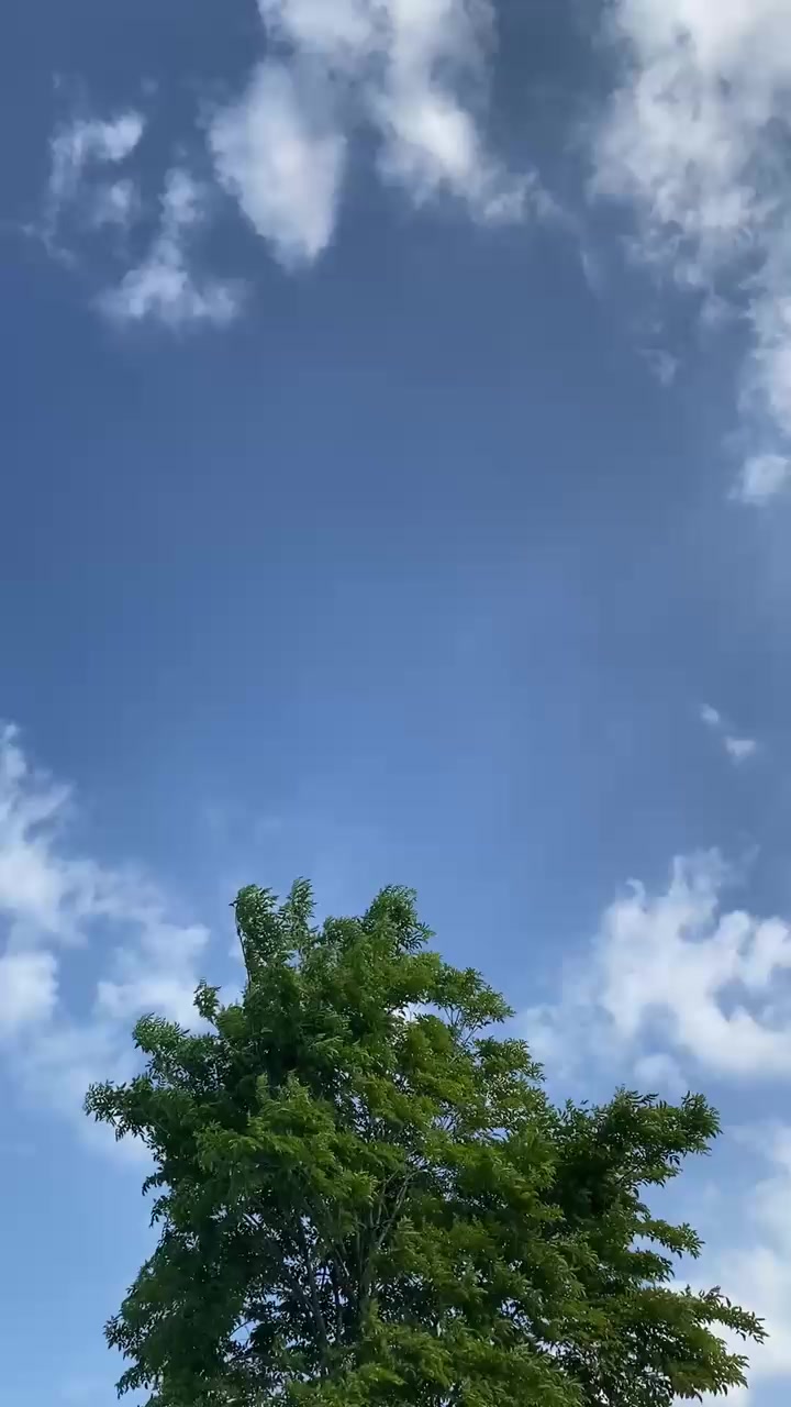 @Loji Cokro Estate