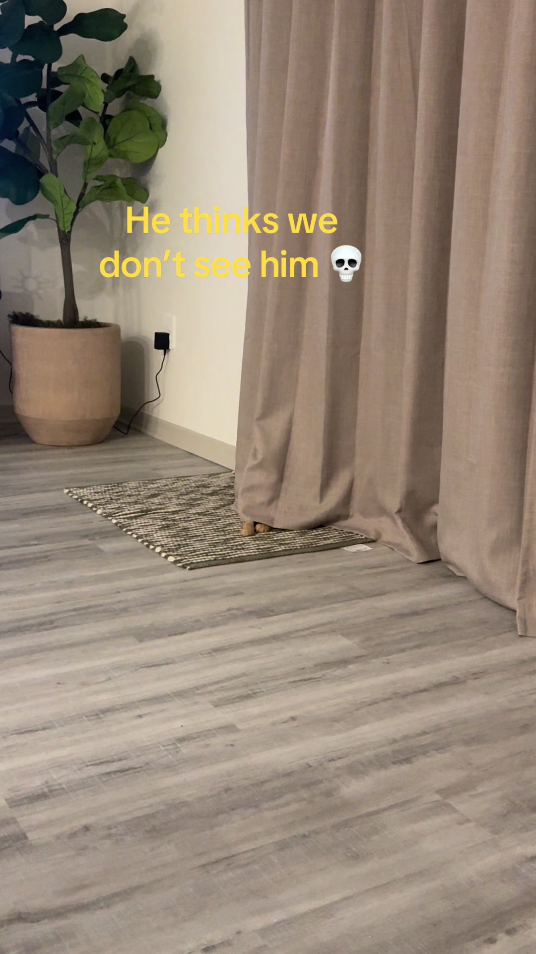 @pammcakee3