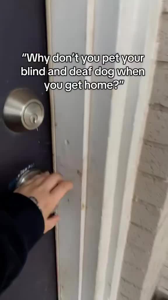 @Ghost and Hannah🐾
