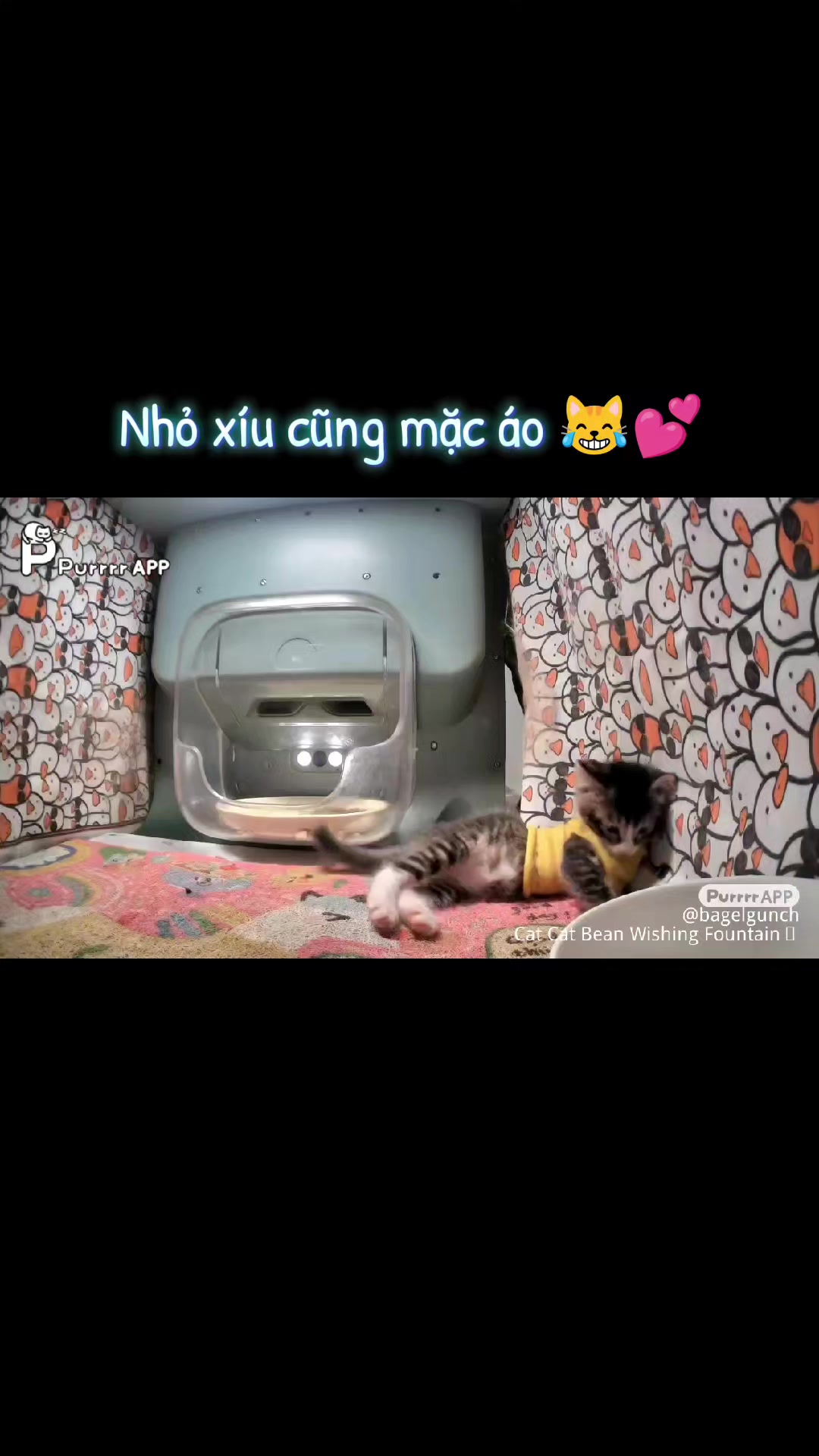 @Meo Meo 😋