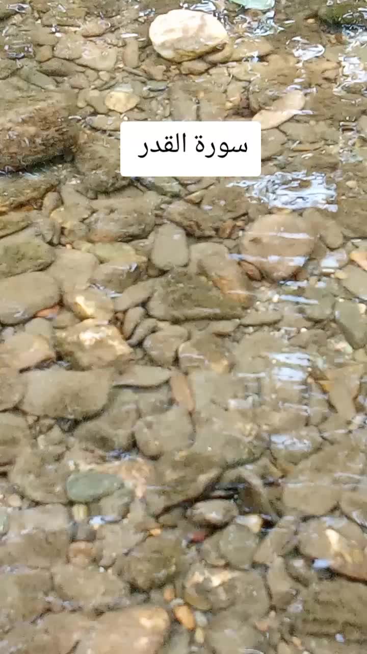 @jasmin Mirage
