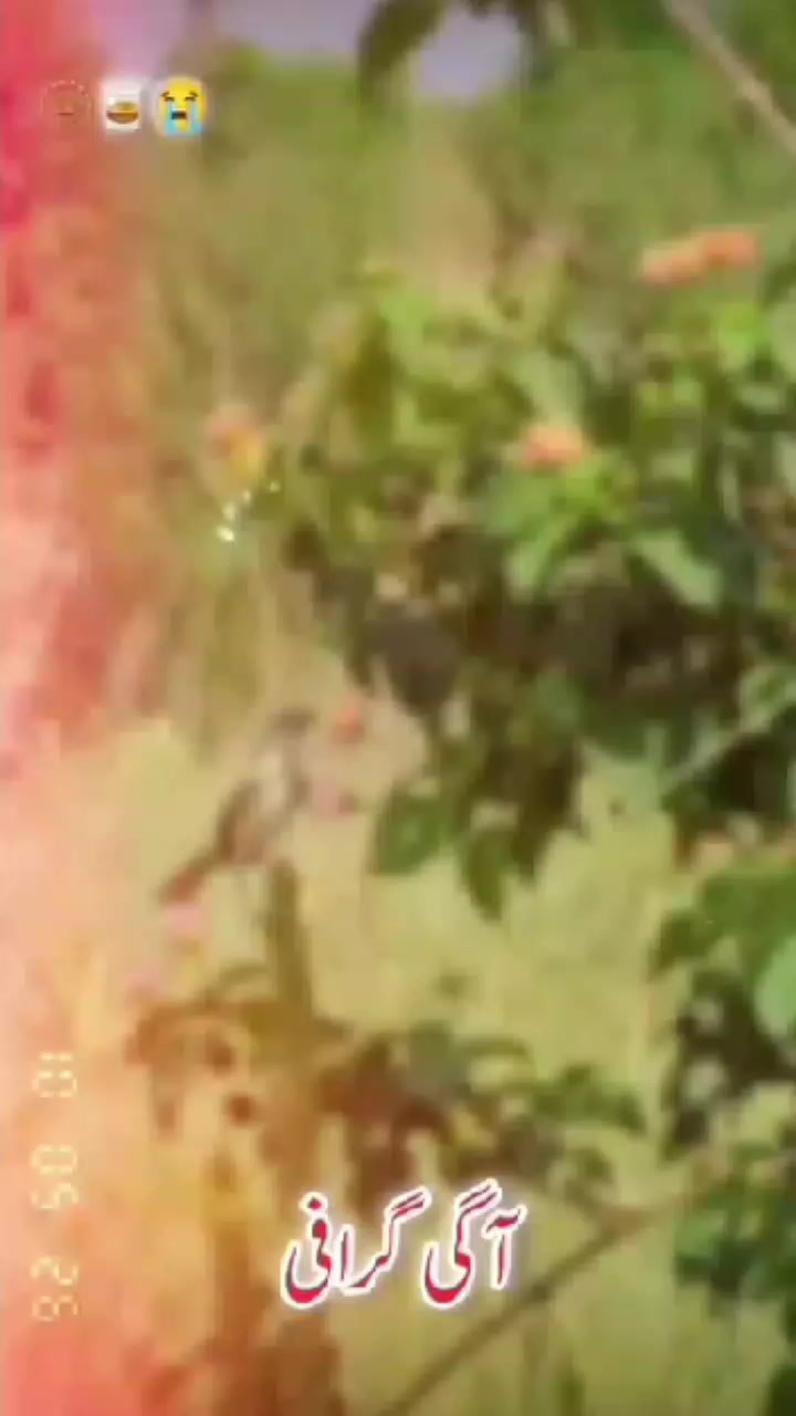 @Khan 🤦🏻♂️🥹