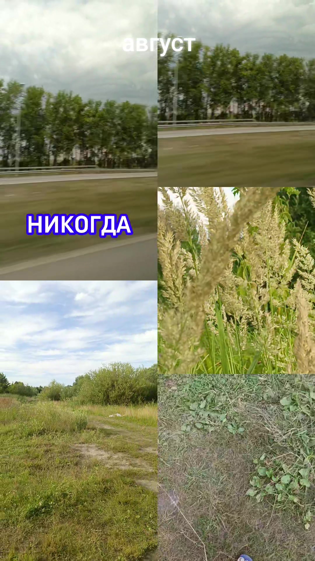 @♥️Альбина ♎