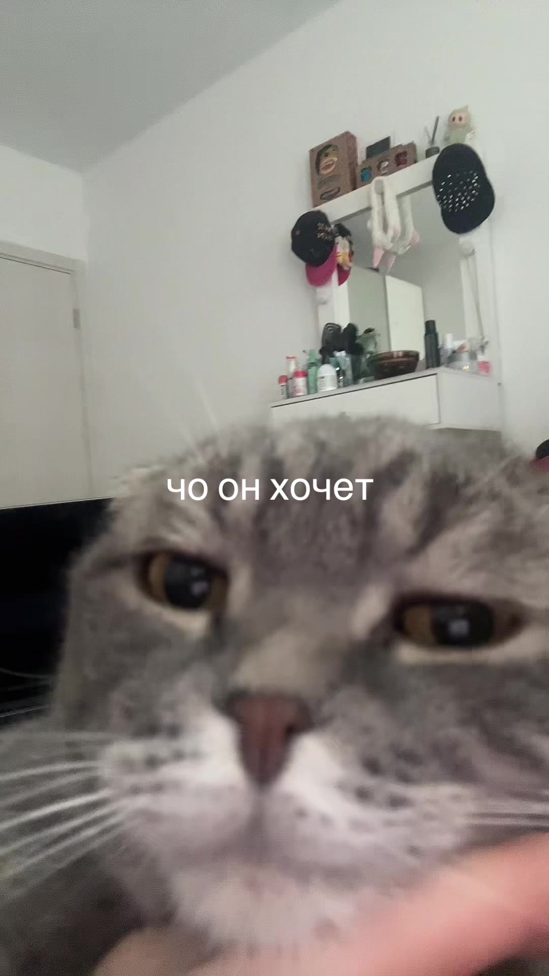 @тгк:никзик