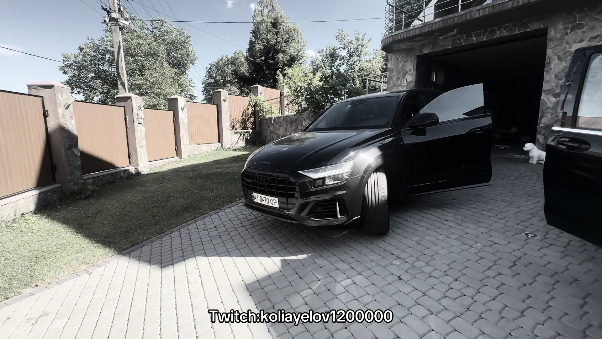 @Twitch:koliayelov1200000
