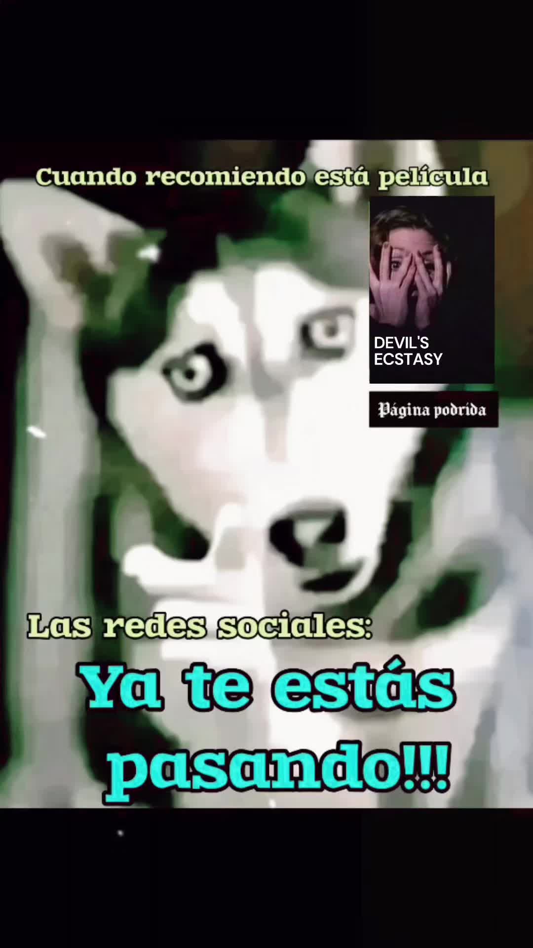 @página podrida