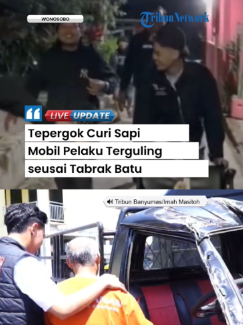 @Tribunnews