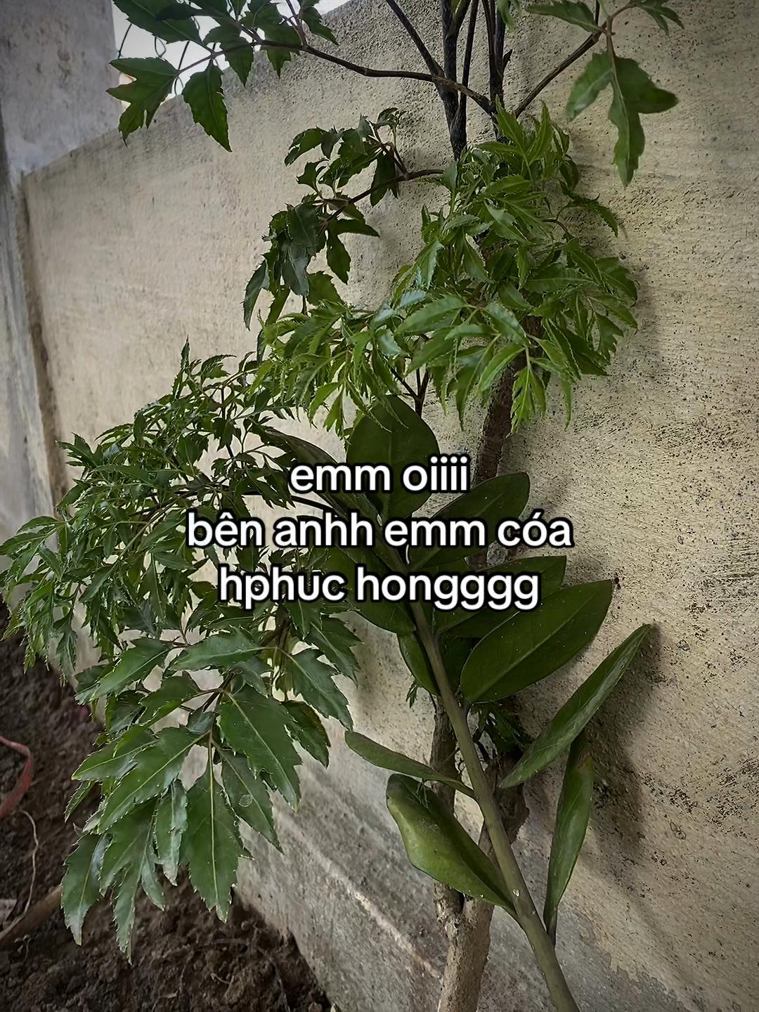 @๐๐ฬ๐ โ๐๐ฬฬ๐ฆ ๐ฌโจ