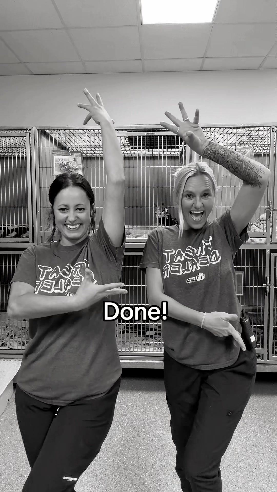 @2vettechs