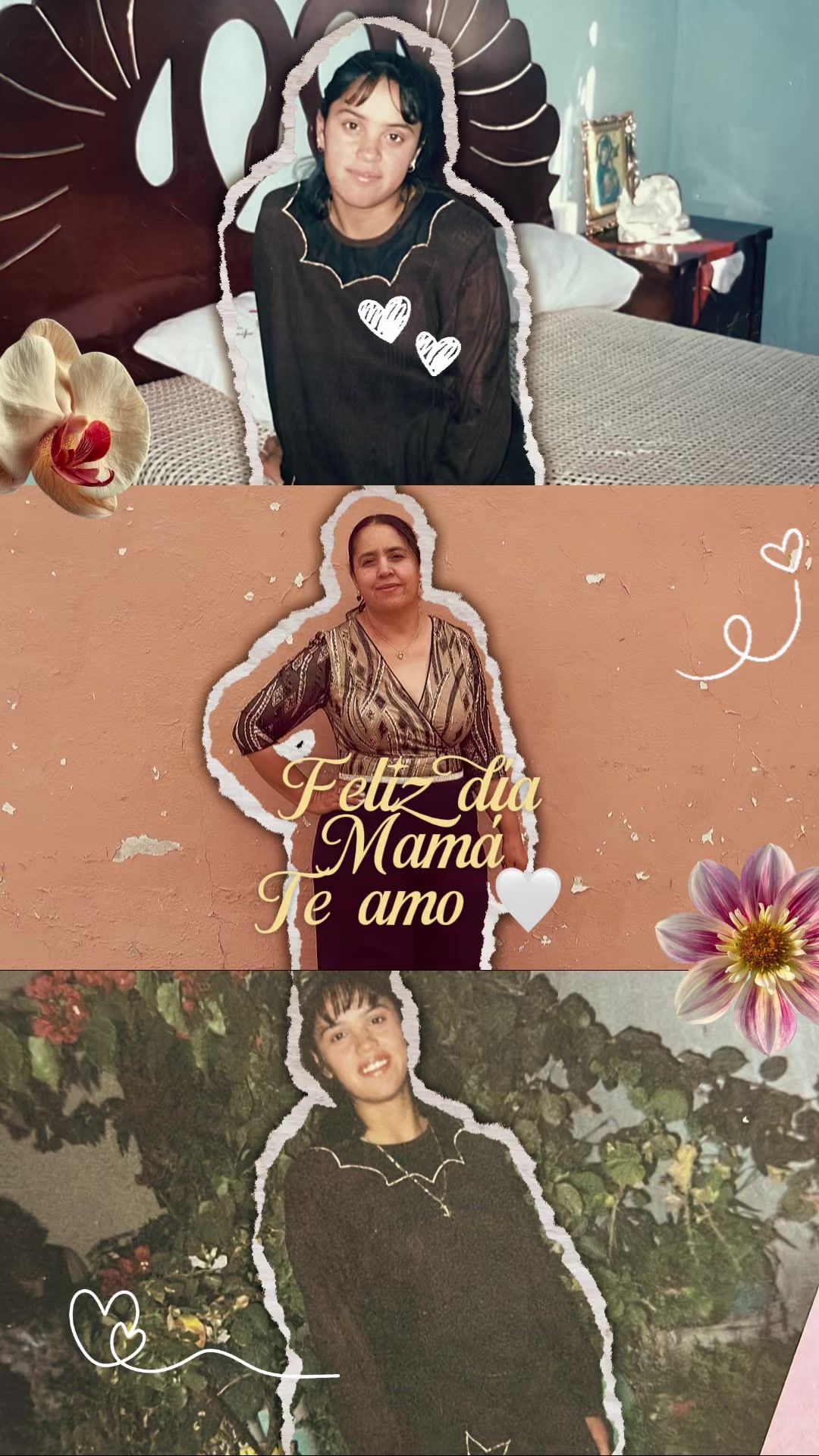 @Fatima 🌸