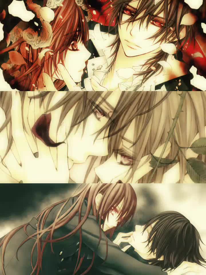 @vampire knight 🌹