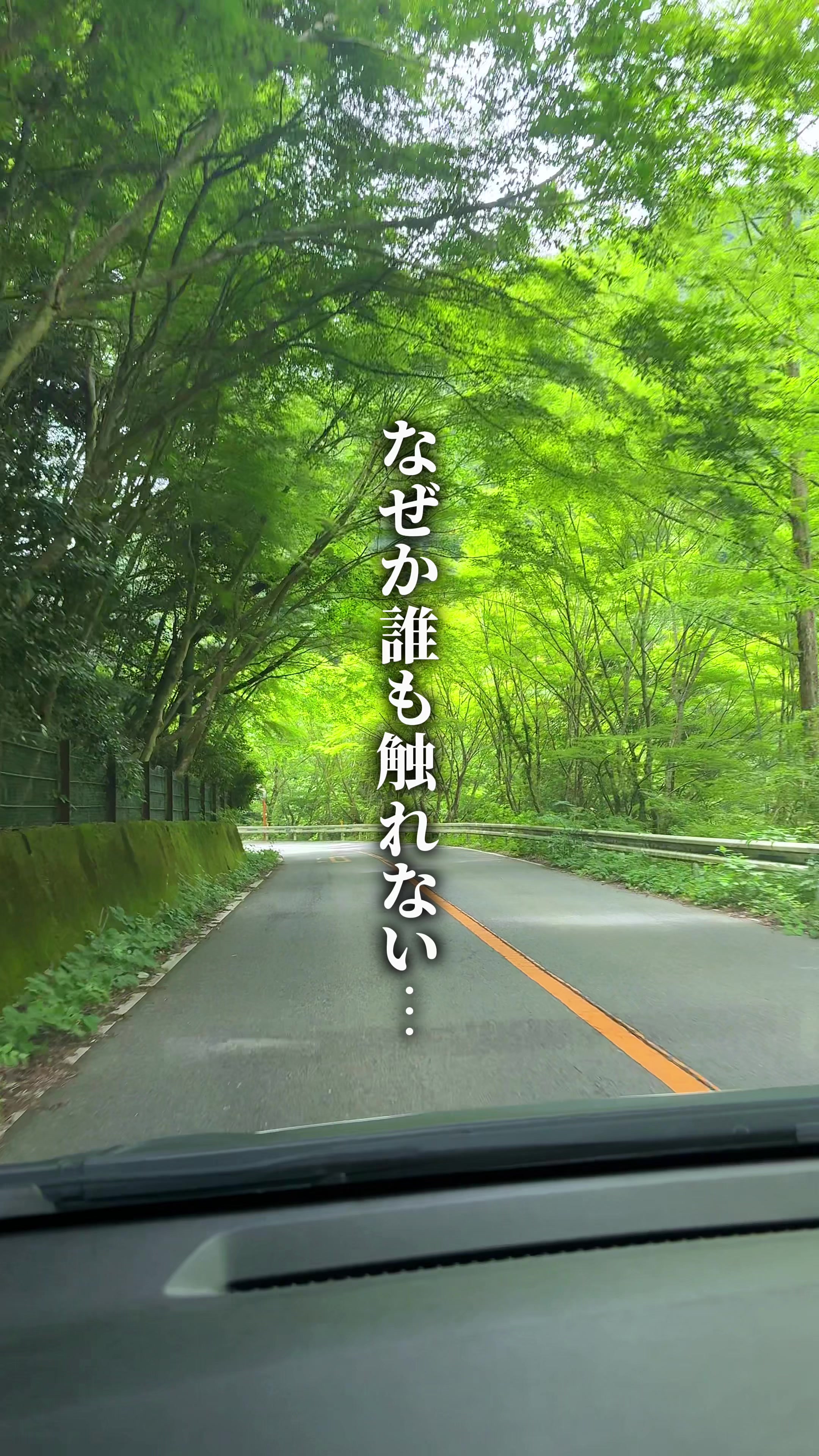 @ひろと / 大阪発!関西トレンド独占旅🔥
