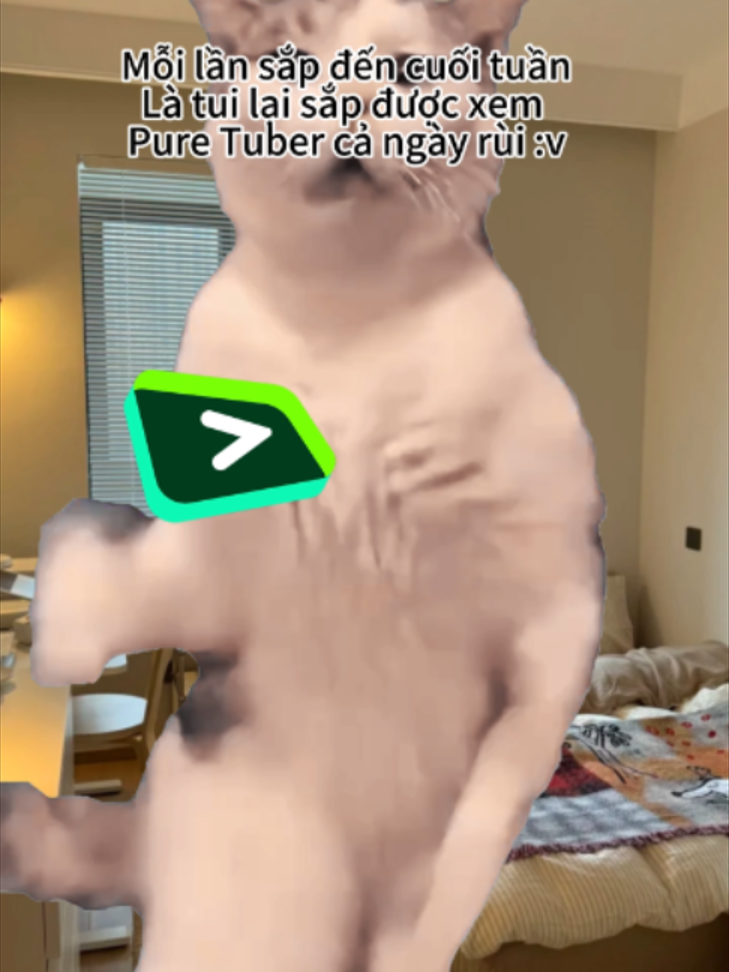 @Pure Tuber Vietnam