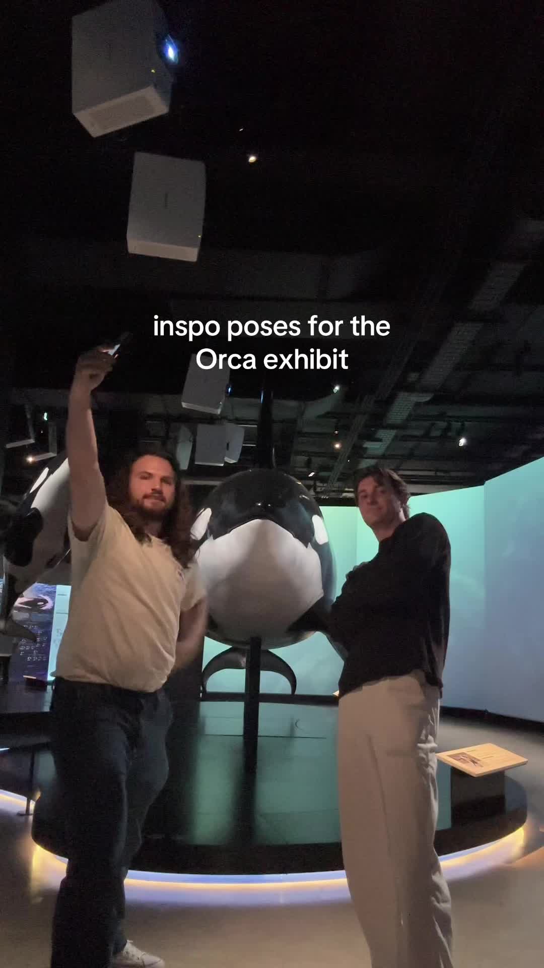 @The Orca Man