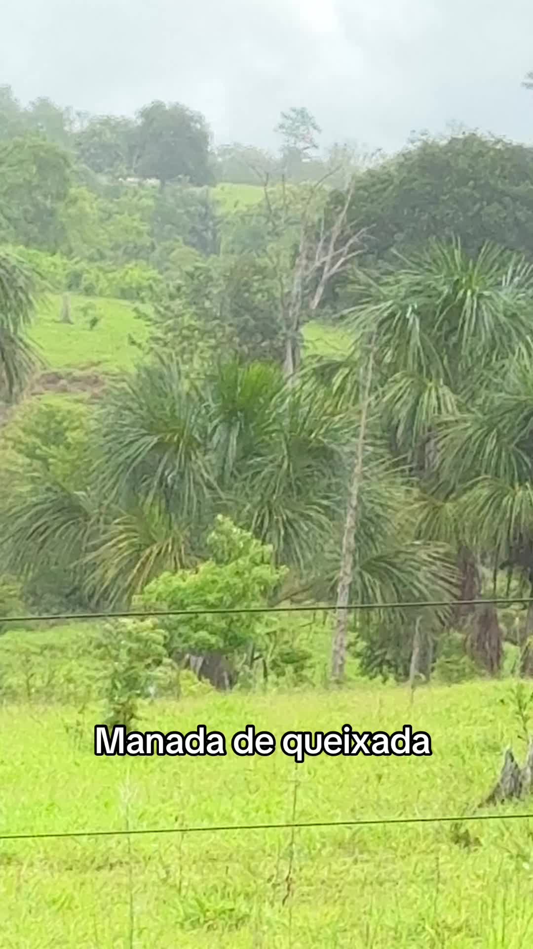 @Fernando