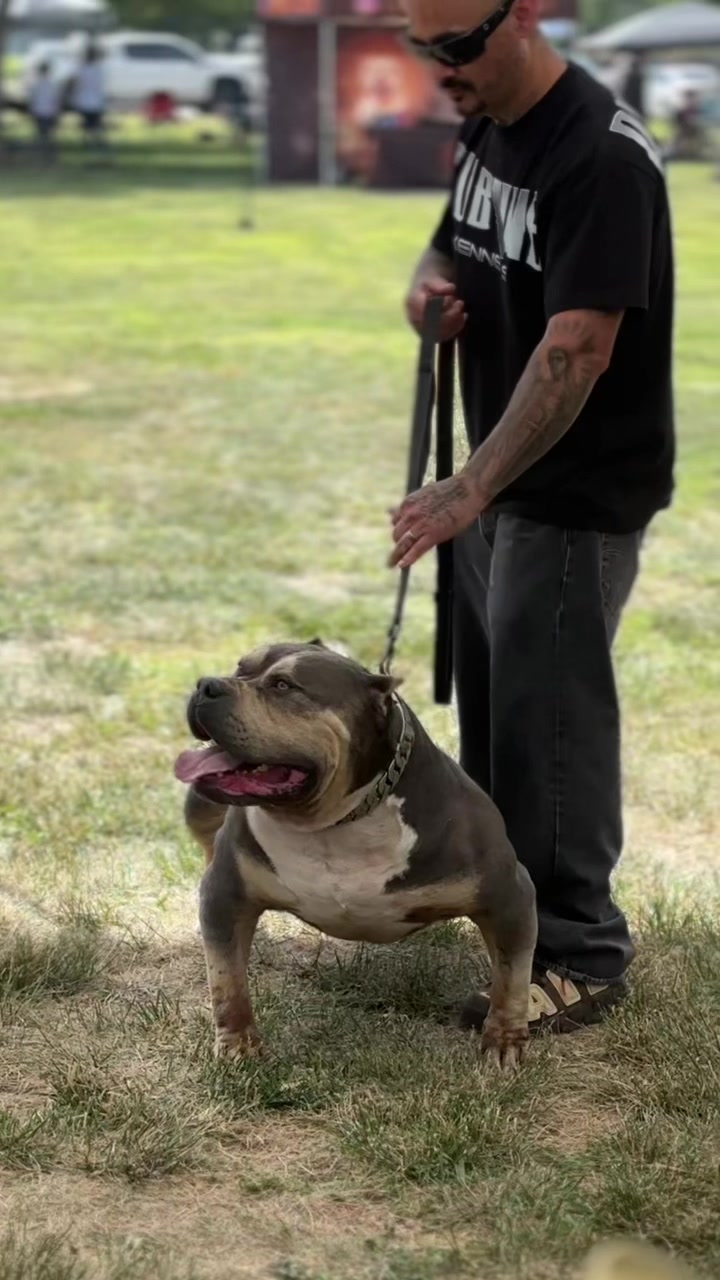 @@Dublinekennels