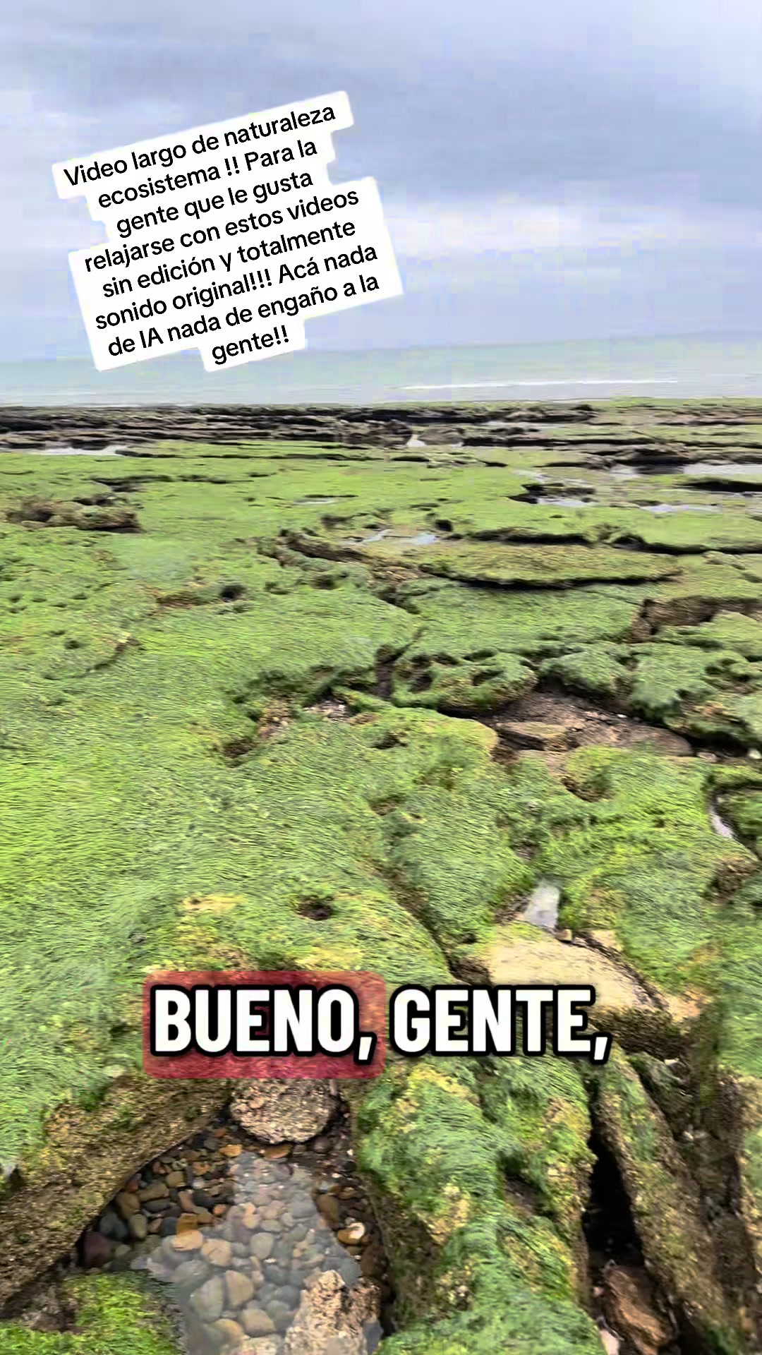 @El flaco