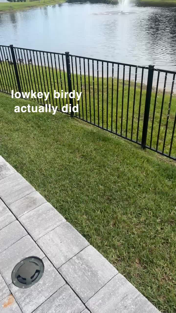 @bizzygh0st