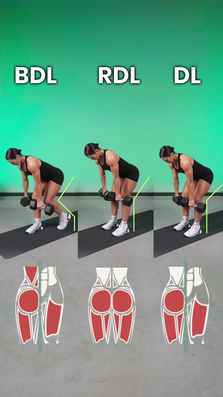 @raize 📲 workout app