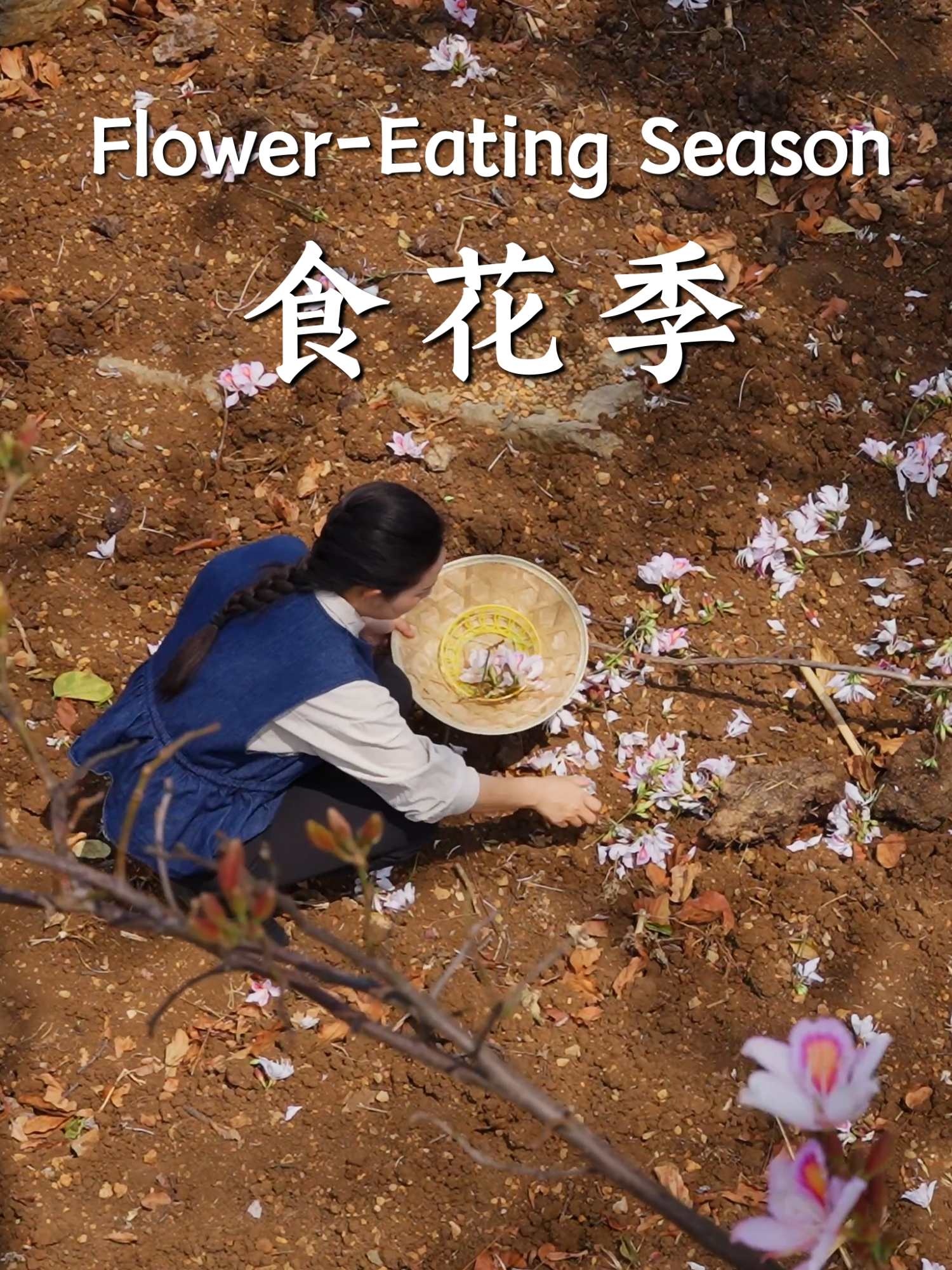 @滇西小哥 Dianxixiaoge