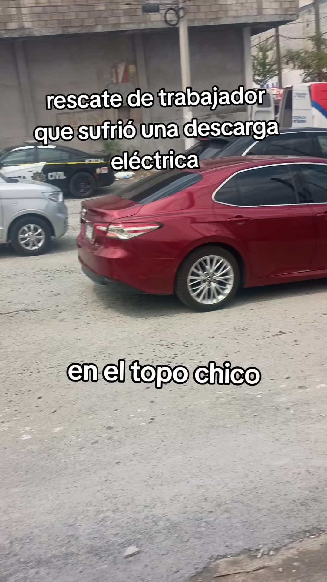 @el gibi en la obra