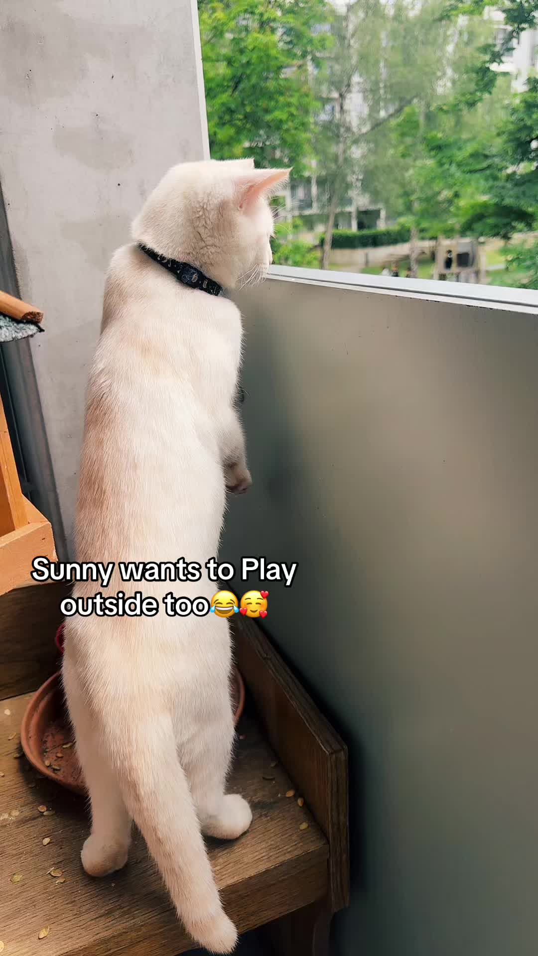 @punamrijal75