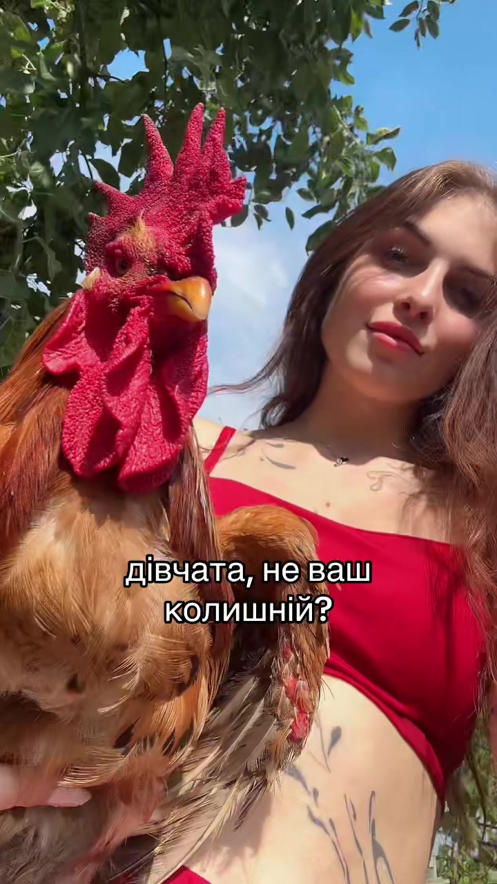 @Ira_Brushko✨