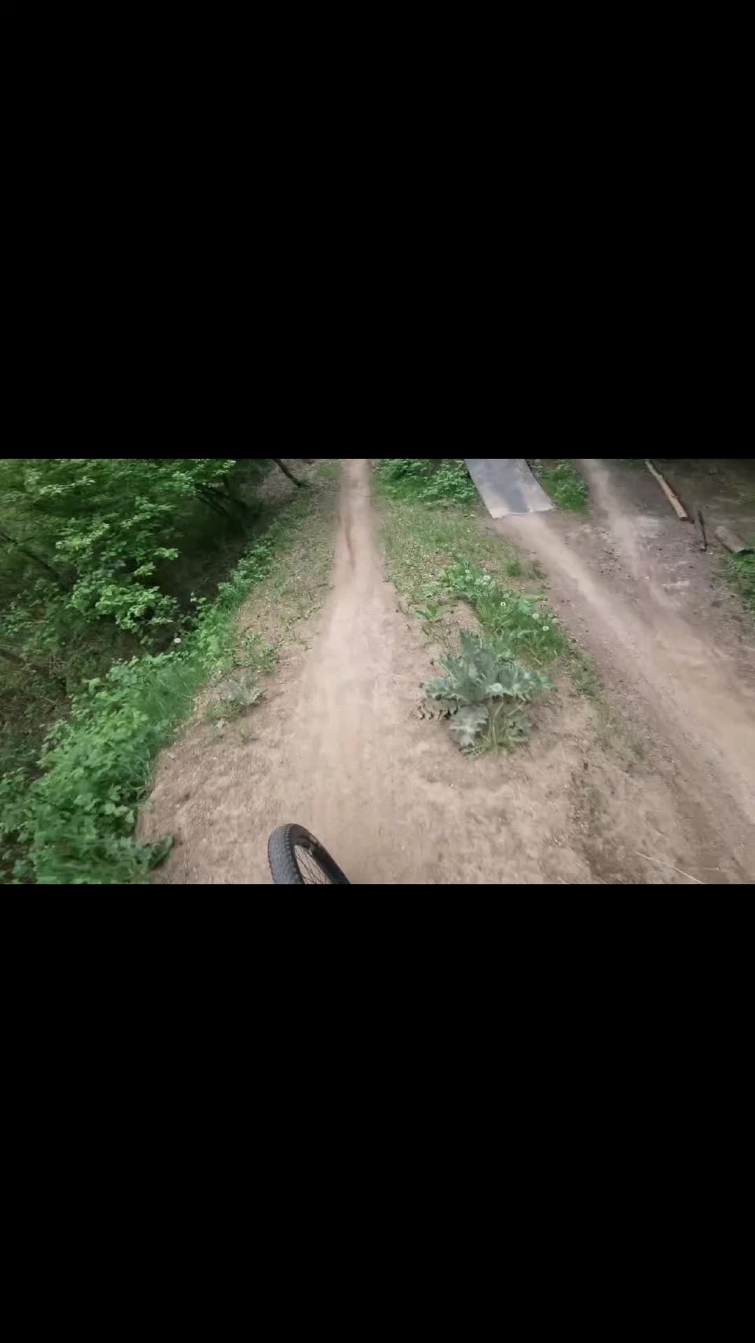 @Levi._.fr🦅🇩🇪