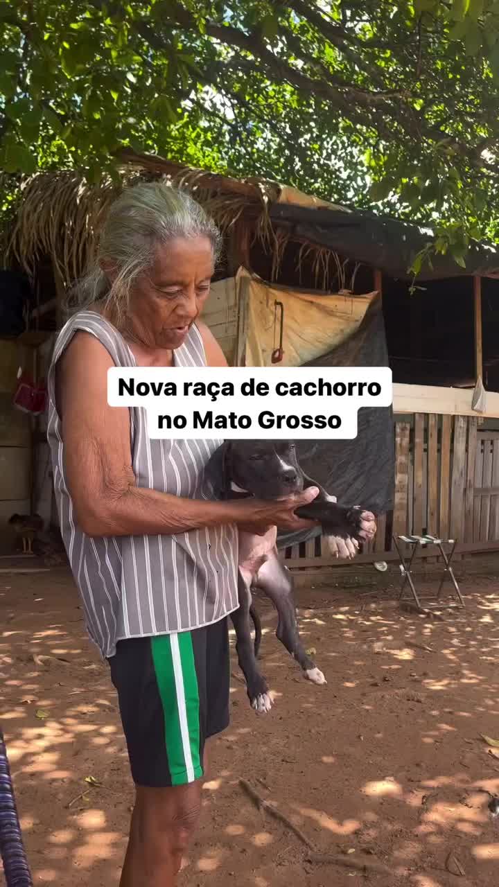 @Portoestrelamilgrau_OFI