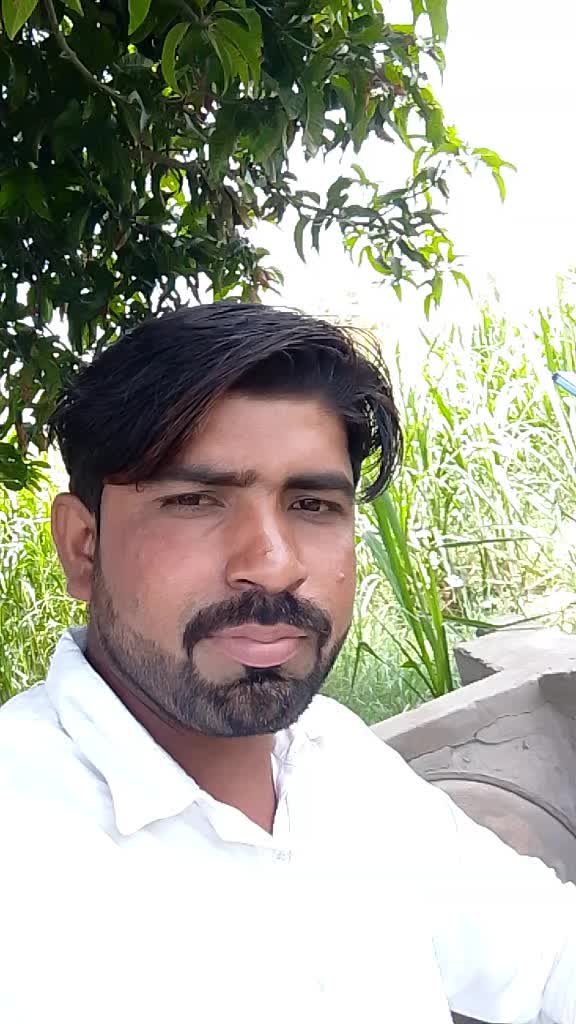 @abbasi