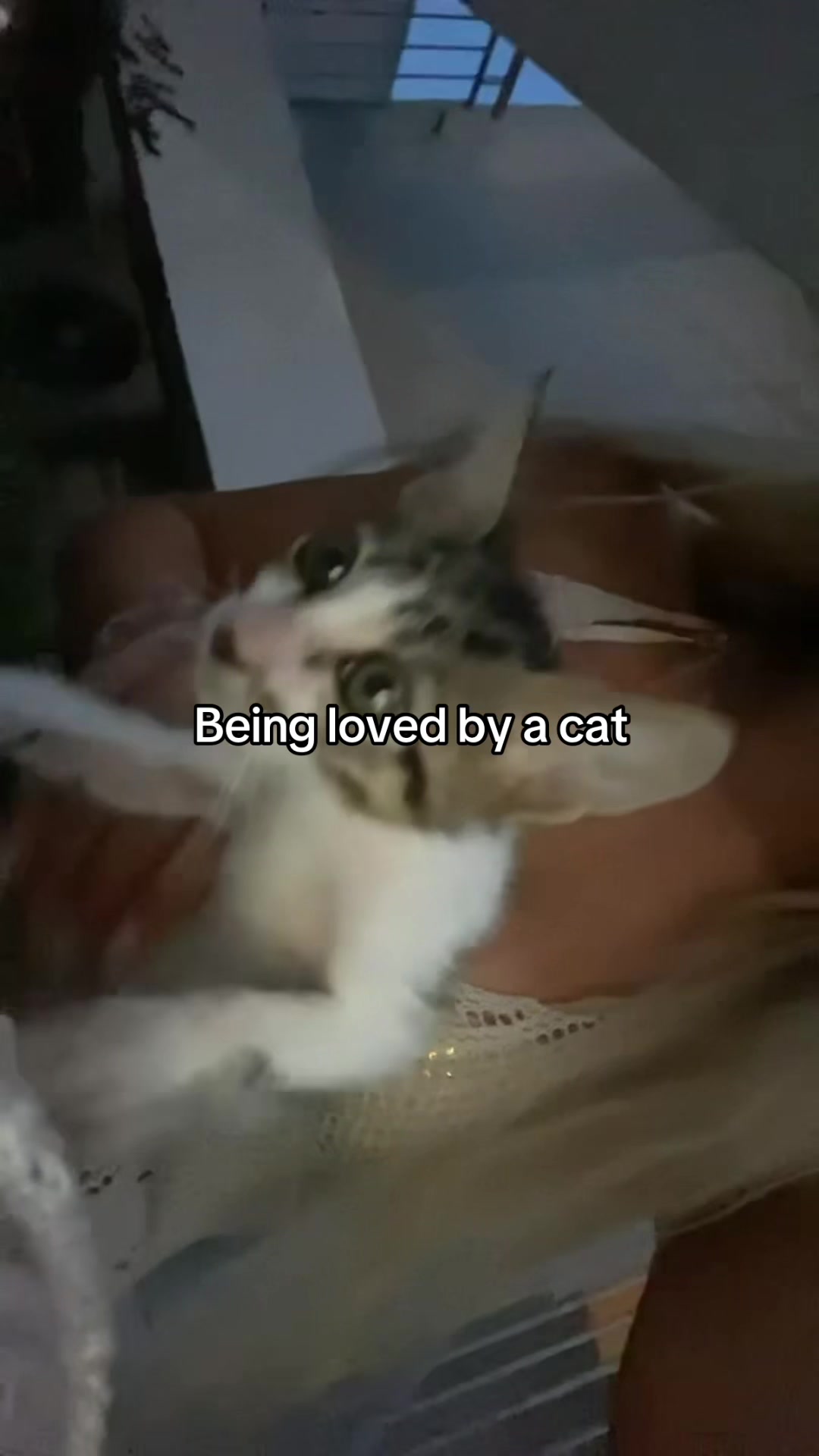 @Jorid