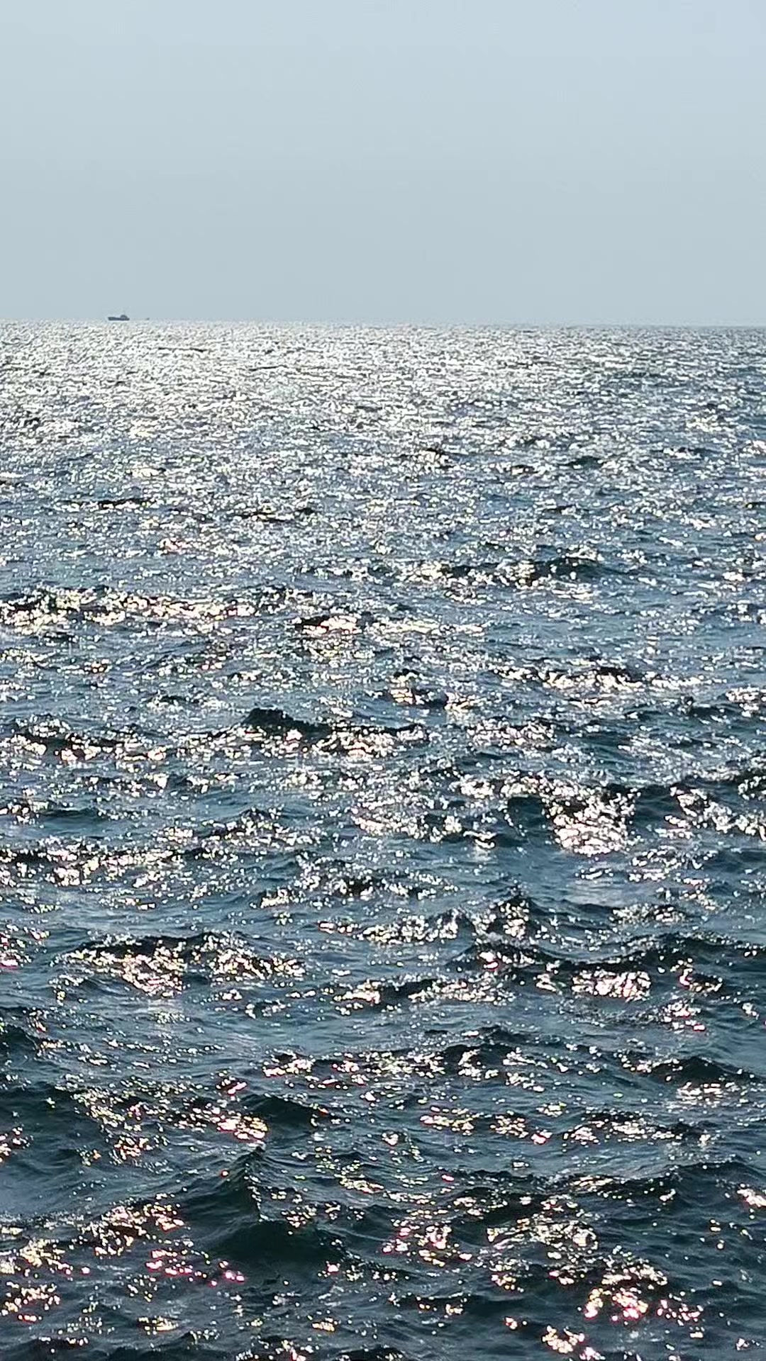 @Tayrê xerib_ 4747