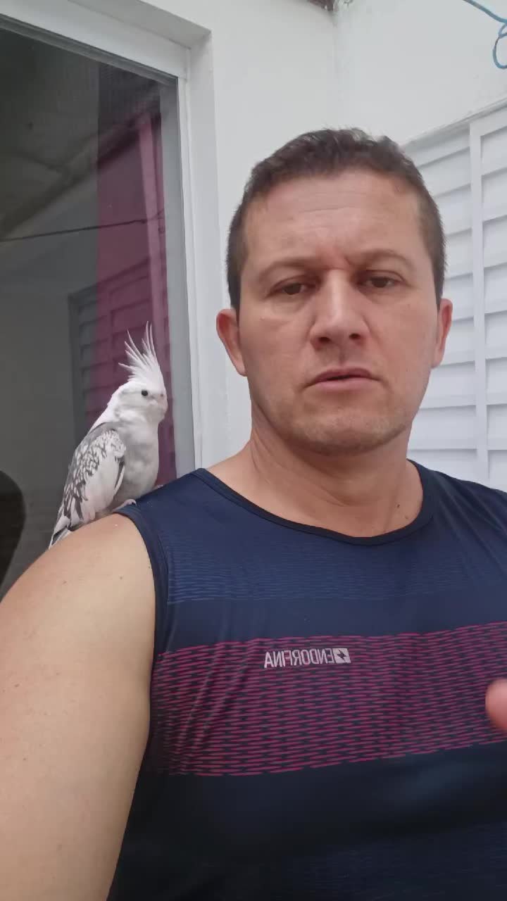 @Rafael Donizetti Leme