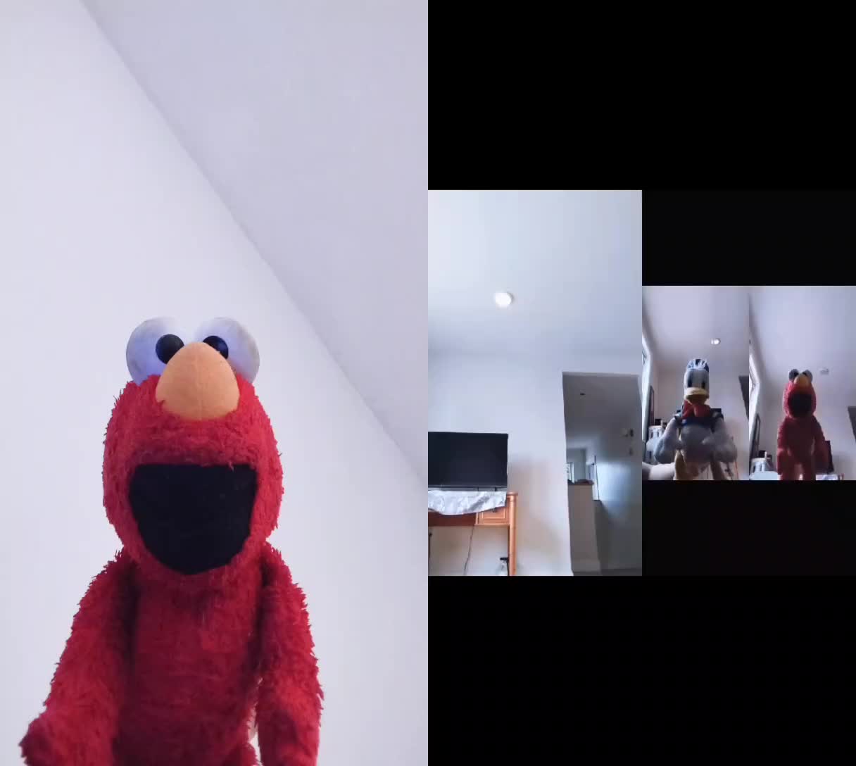 @Kermit The Frog Tiktok
