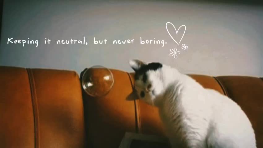 @𝒔𝒉𝒆 𝒓𝒐𝒔𝒆