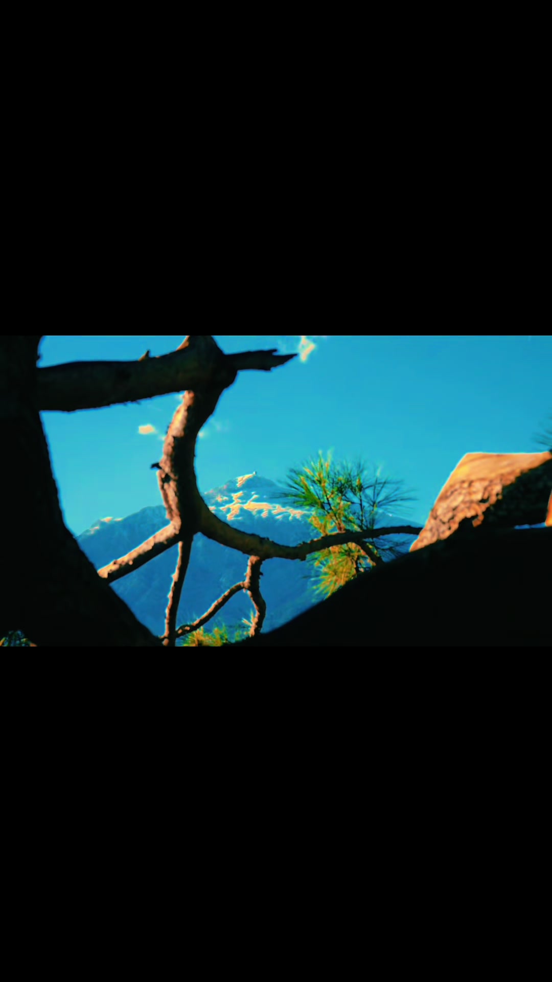 @ecovisuals