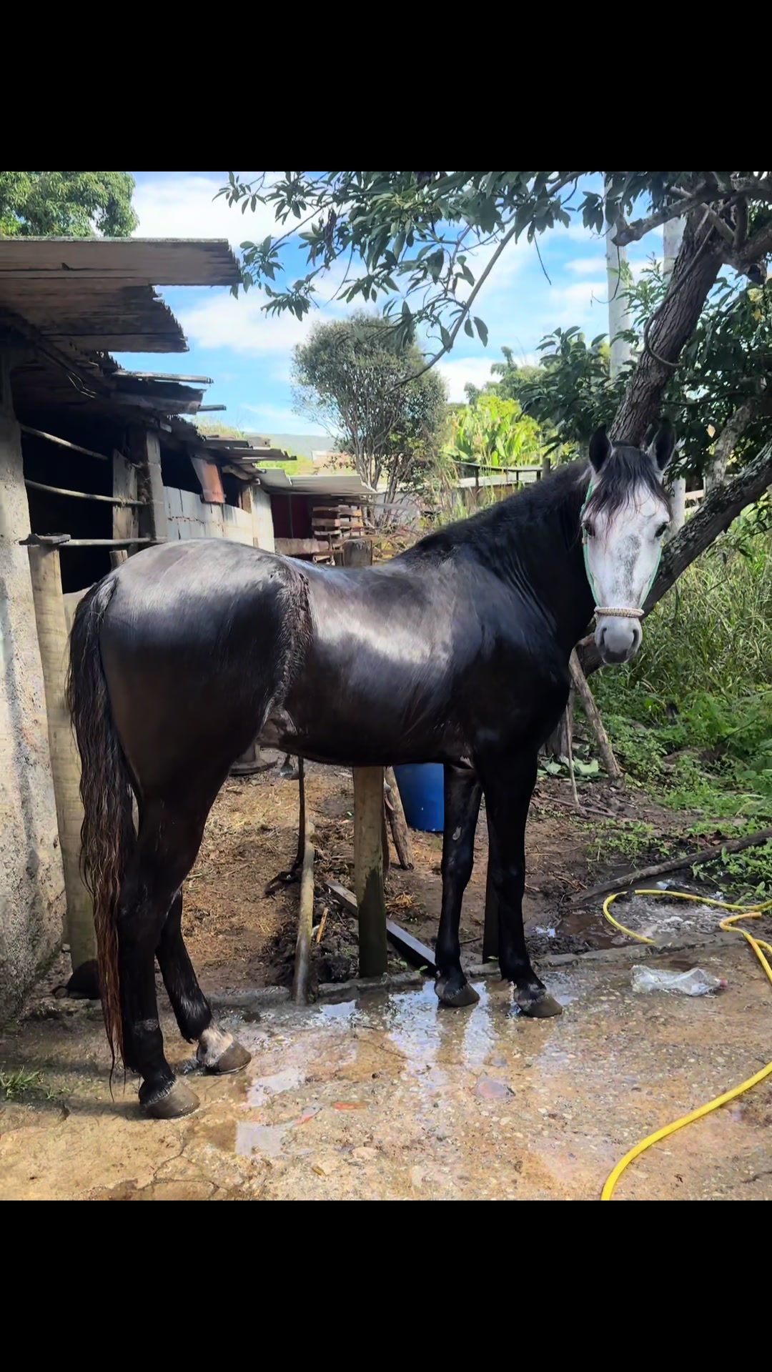 @Geisa Vitória