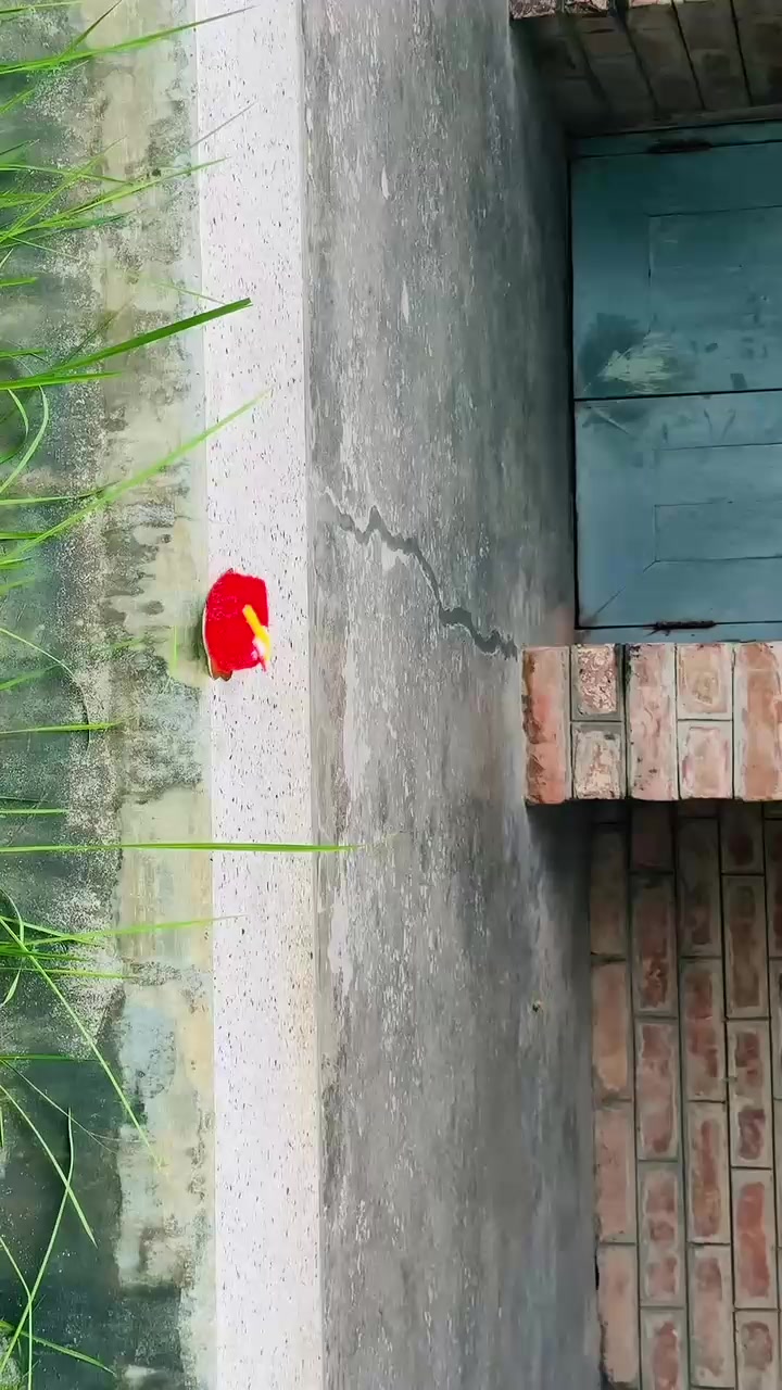 @đ¸Quineđ¸