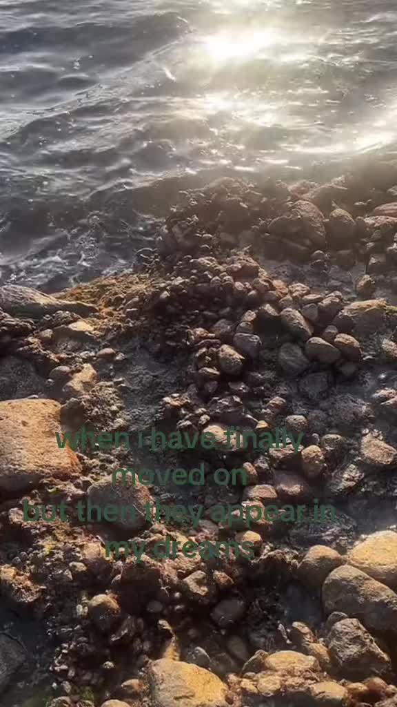 @🦋🪷🌿🌀❤️
