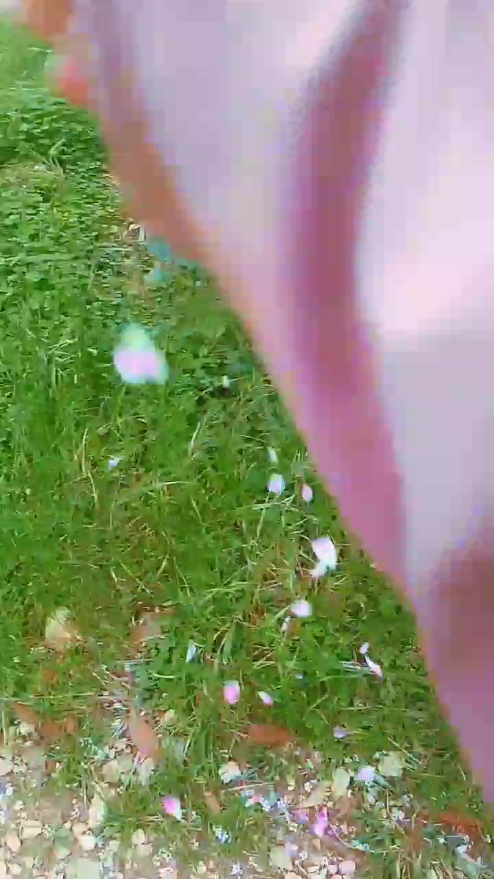 @𓃴🧸aua🧸𓃴