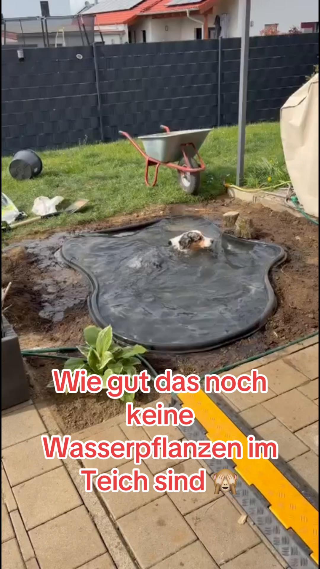 @diepensels