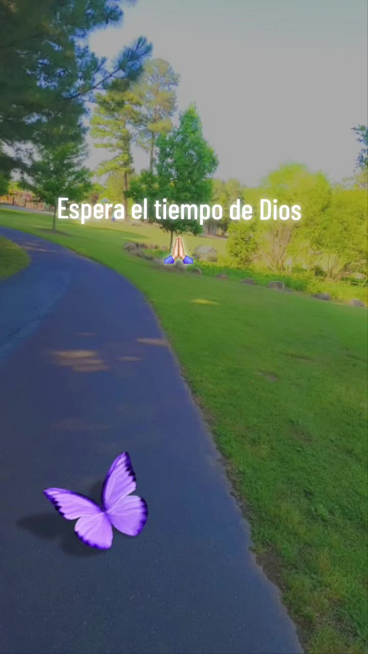 @✨️🦋💜AnaSG07💜🦋✨️