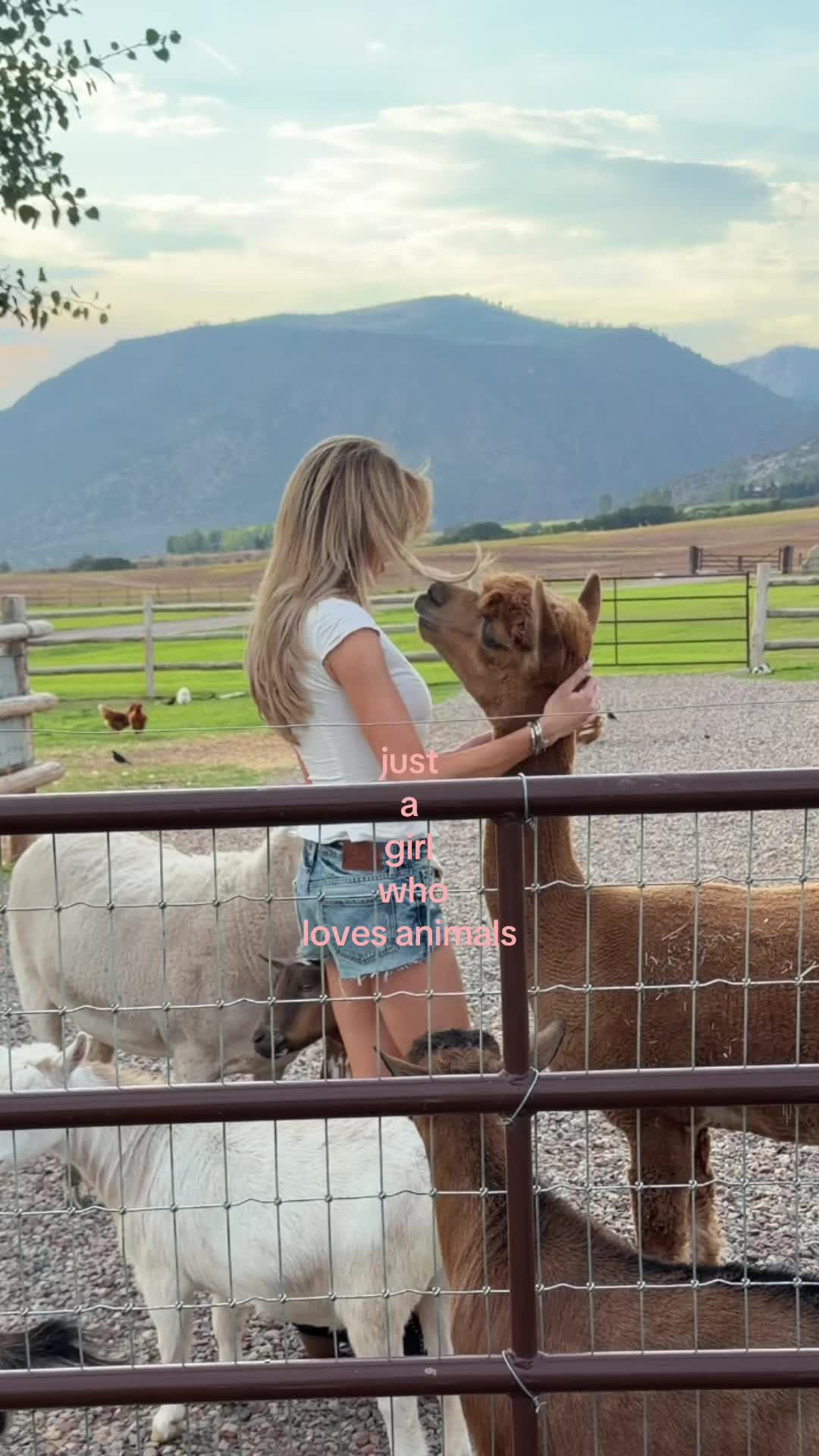@Kateecass