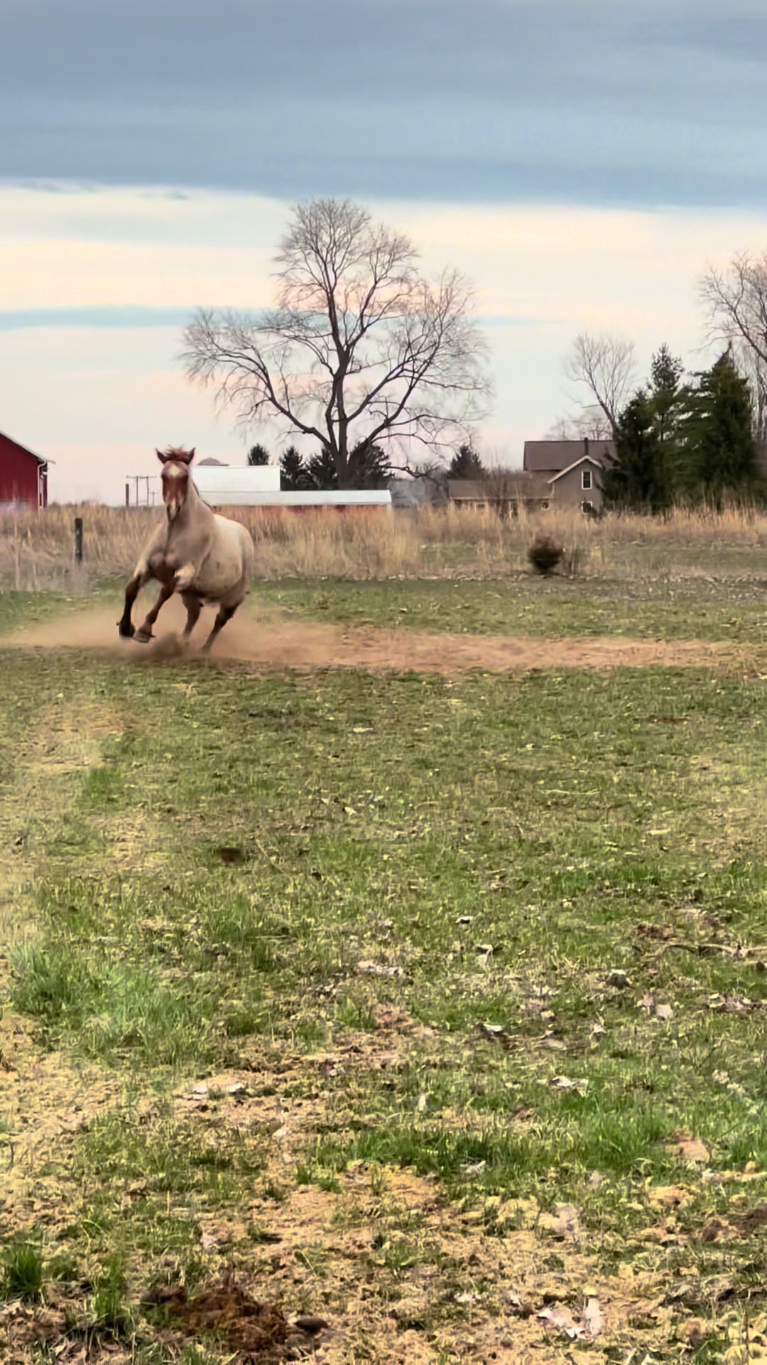 @eastwood_homestead